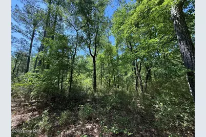 Lot 27 Sunset Point, Belhaven, NC 27810 - Photo 35