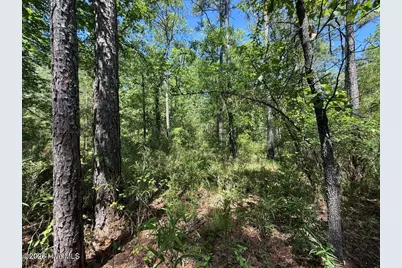 Lot 27 Sunset Point, Belhaven, NC 27810 - Photo 3