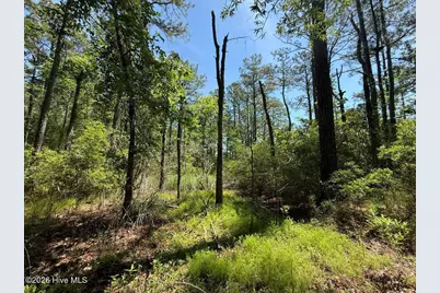 Lot 27 Sunset Point, Belhaven, NC 27810 - Photo 33