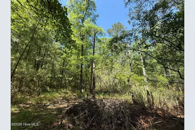 Lot 27 Sunset Point, Belhaven, NC 27810 - Photo 37