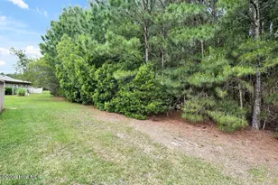 1123 Lillibridge Dr, Leland, NC 28451 - Photo 31