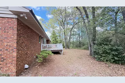 107 Azalea Trail, Salemburg, NC 28385 - Photo 47