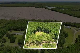 307 Crows Nest Rd, Beaufort, NC 28516 - Photo 43