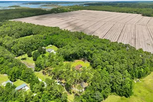 307 Crows Nest Rd, Beaufort, NC 28516 - Photo 45