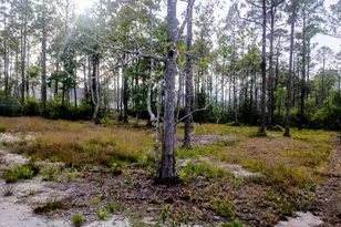 349 Fifty Lakes Dr, Southport, NC 28461 - Photo 5
