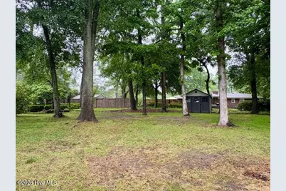 206 Tom Avenue, Castle Hayne, NC 28429 - Photo 33