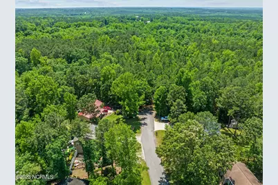 Tbd Buggy Drive W, Carthage, NC 28327 - Photo 3