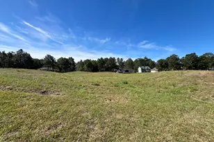 568 Bald Eagle Dr, Vass, NC 28394 - Photo 39