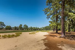 513 Pommel Ln, Southern Pines, NC 28387 - Photo 47