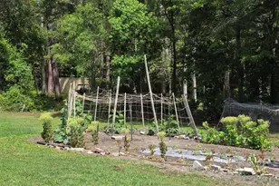 977 Bozeman Rd, Wilmington, NC 28412 - Photo 3