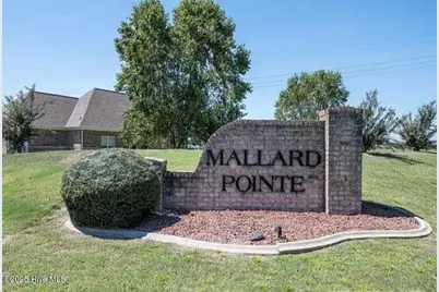 208 S Merganser Drive, Pikeville, NC 27863 - Photo 11