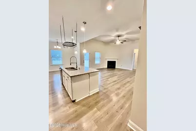 208 S Merganser Drive, Pikeville, NC 27863 - Photo 21