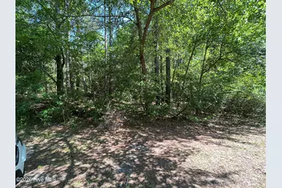 304 Eastman Road, Southern Pines, NC 28387 - Photo 3