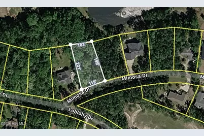 707 Mimosa Drive, Vass, NC 28394 - Photo 1