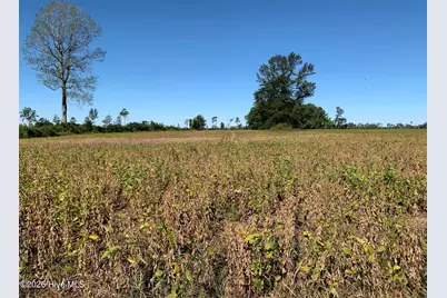 Tbd Hendrix Lane, Windsor, NC 27983 - Photo 3