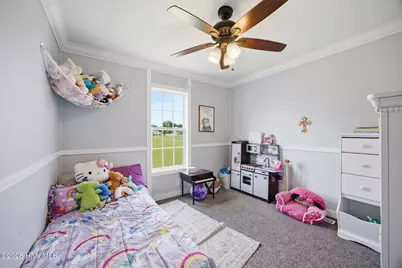 233 Baysden Pond Road, Chinquapin, NC 28521 - Photo 25