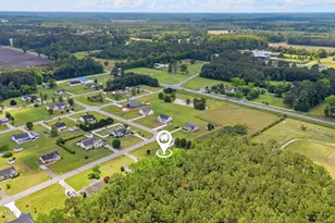 105 Henry Giddeons Dr, Teachey, NC 28464 - Photo 29