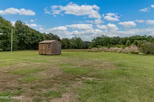 239 Stanley Chapel Church Rd, Dudley, NC 28333 - Photo 3