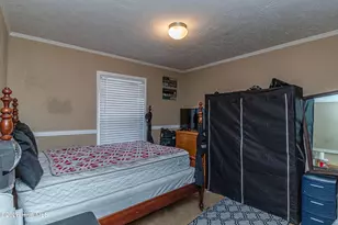 239 Stanley Chapel Church Rd, Dudley, NC 28333 - Photo 11