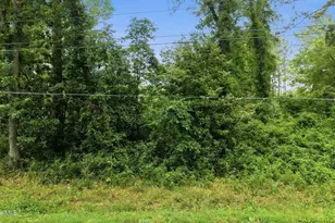 17060 St Johns Church Rd, Laurel Hill, NC 28351 - Photo 59