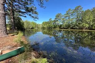 17060 St Johns Church Rd, Laurel Hill, NC 28351 - Photo 31