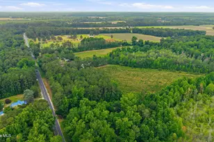 17060 St Johns Church Rd, Laurel Hill, NC 28351 - Photo 57