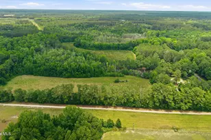 17060 St Johns Church Rd, Laurel Hill, NC 28351 - Photo 49