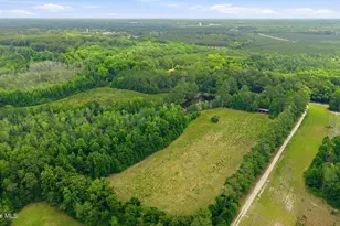 17060 St Johns Church Rd, Laurel Hill, NC 28351 - Photo 51