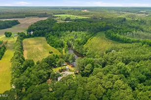 17060 St Johns Church Rd, Laurel Hill, NC 28351 - Photo 61