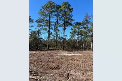 Lot 124 Coral Gull Street, Southport, NC 28461 - Photo 1