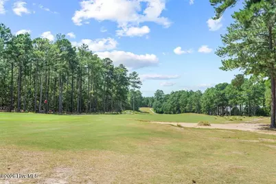 15641 Racoon Run, Wagram, NC 28396 - Photo 41