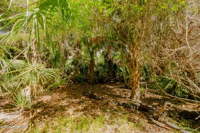 4 Gray Fox Court, Bald Head Island, NC 28461 - Photo 5