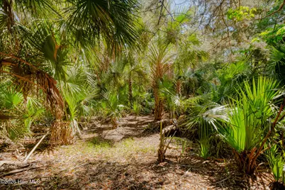 6 Gray Fox Court, Bald Head Island, NC 28461 - Photo 5