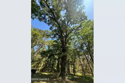 Lot 4 Saggus Road, Washington, GA 30673 - Photo 15