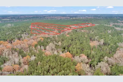 Lot 4 Saggus Road, Washington, GA 30673 - Photo 21