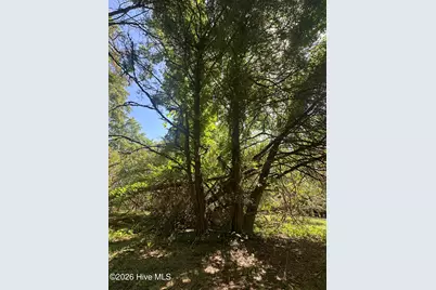Lot 4 Saggus Road, Washington, GA 30673 - Photo 13