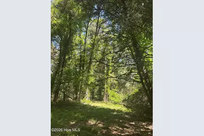 Lot 4 Saggus Road, Washington, GA 30673 - Photo 11