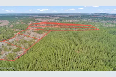 Lot 4 Saggus Road, Washington, GA 30673 - Photo 17