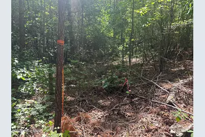 Lot 4 Saggus Road, Washington, GA 30673 - Photo 7