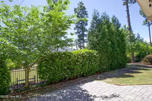 350 Wiregrass Ln, Southern Pines, NC 28387 - Photo 61