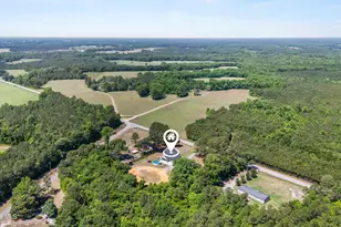 4201 Needmore Rd, Turkey, NC 28393 - Photo 41