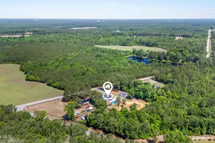 4201 Needmore Rd, Turkey, NC 28393 - Photo 27
