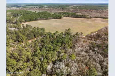 Lot 2R Page Road, Burgaw, NC 28425 - Photo 11
