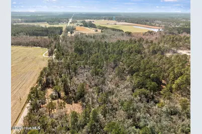 Lot 2R Page Road, Burgaw, NC 28425 - Photo 7