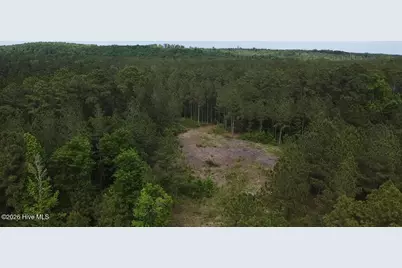 0 Cartledge Creek Road, Rockingham, NC 28379 - Photo 7