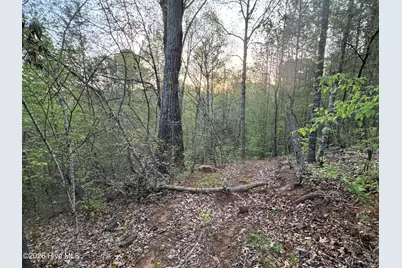 0 Cartledge Creek Road, Rockingham, NC 28379 - Photo 29