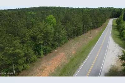 0 Cartledge Creek Road, Rockingham, NC 28379 - Photo 3