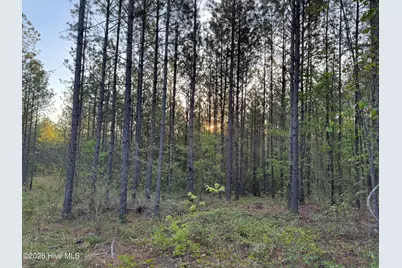 0 Cartledge Creek Road, Rockingham, NC 28379 - Photo 27