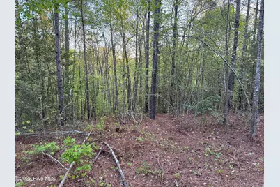 0 Cartledge Creek Road, Rockingham, NC 28379 - Photo 31