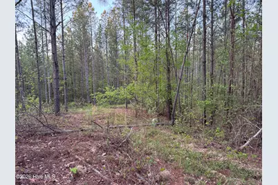0 Cartledge Creek Road, Rockingham, NC 28379 - Photo 33